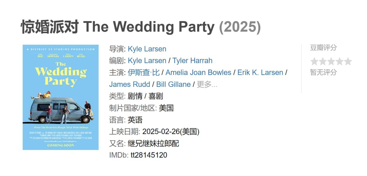 惊婚派对 The Wedding Party (2025)
