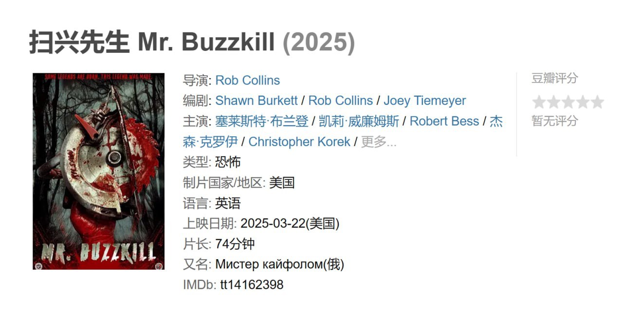 扫兴先生 Mr. Buzzkill (2025)