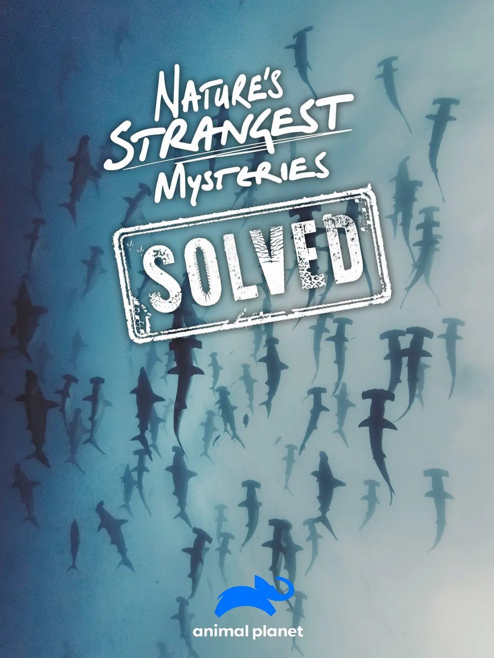 自然界最奇怪的谜题 Nature's Strangest Mysteries Solved (2019)