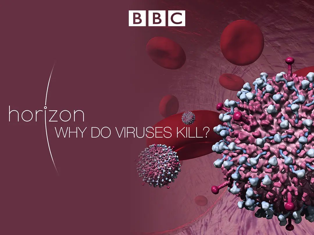 病毒为何致命 Why Do Viruses Kill (2010)