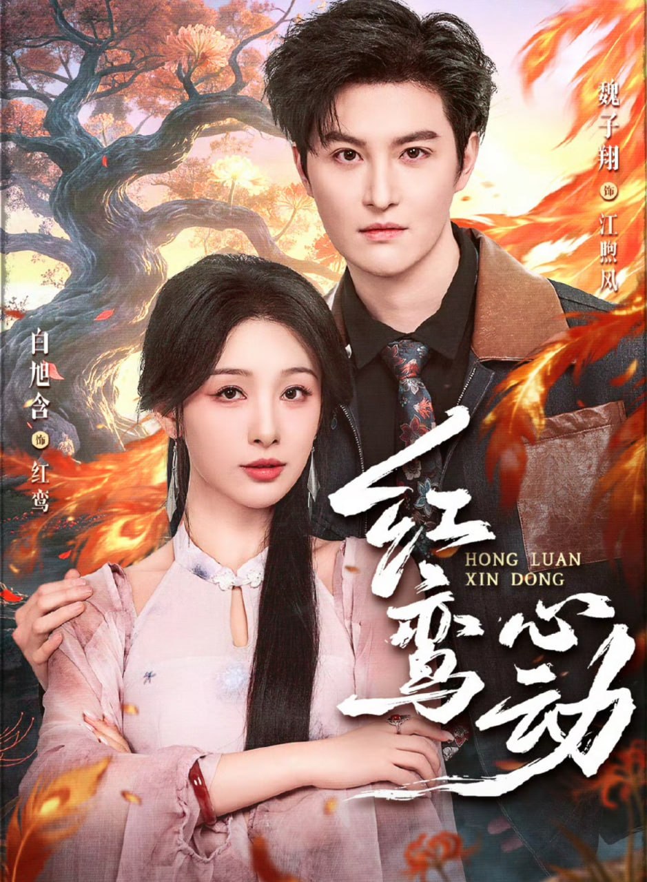 红鸾心动（60集）魏子翔＆白旭含|短剧