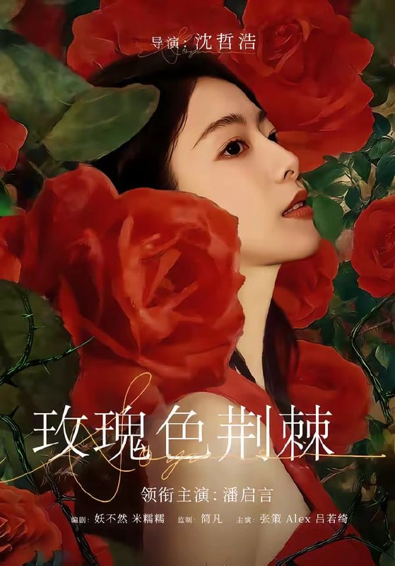 玫瑰色荆棘（ 60 集）潘启言 ＆ 张策
