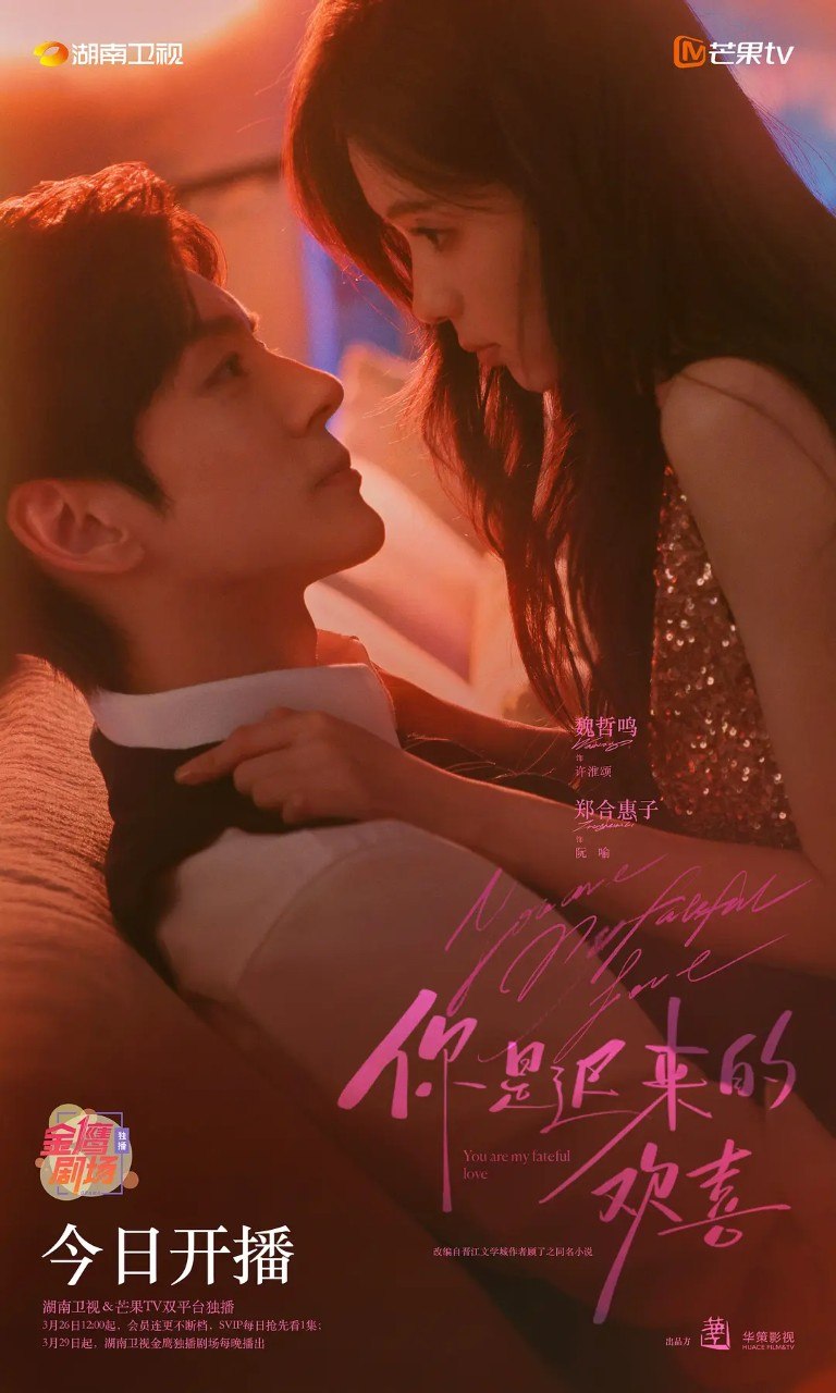 你是迟来的欢喜 更10 [2026][4K]