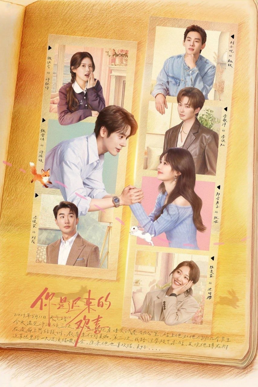 你是迟来的欢喜 (2026) [1080P] [国语中字] [更至10集]