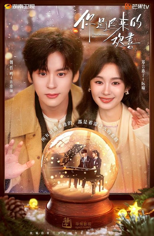 你是迟来的欢喜‎ (2026) 4K WEB-DL AAC2.0 中字【2.4GB/集】更10集，魏哲鸣/郑合惠子