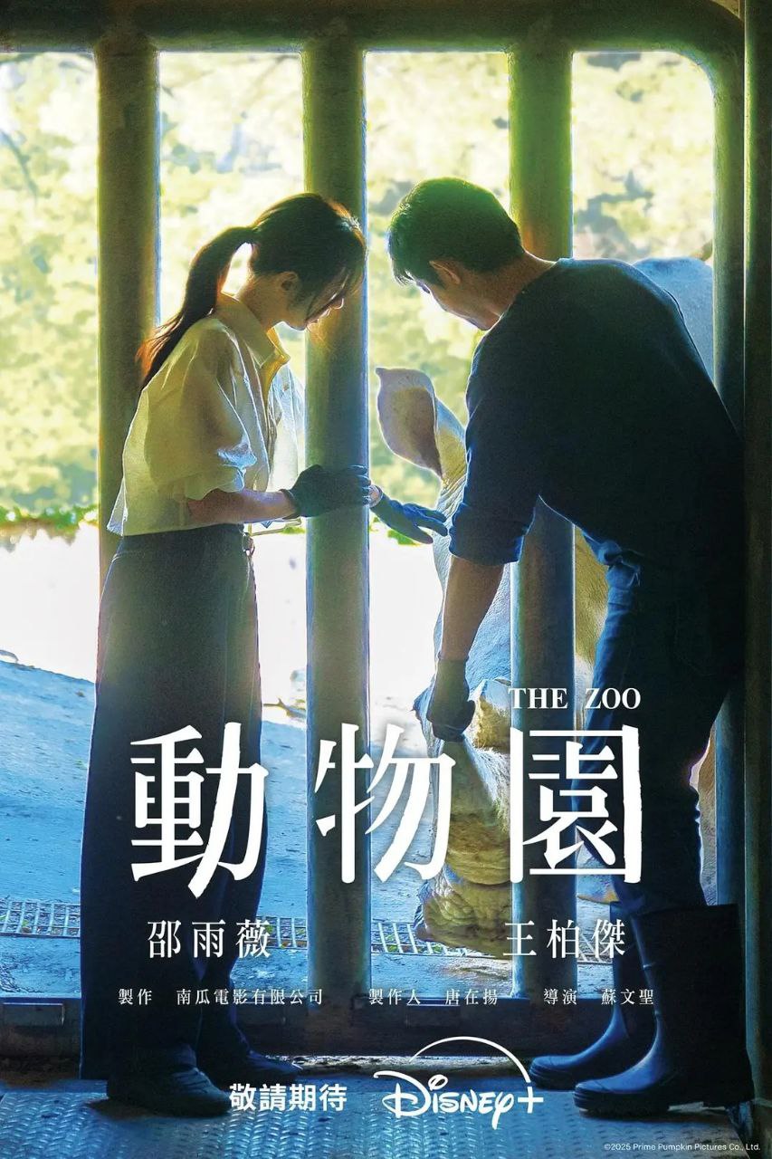 动物园 全10集 [2026][台剧]