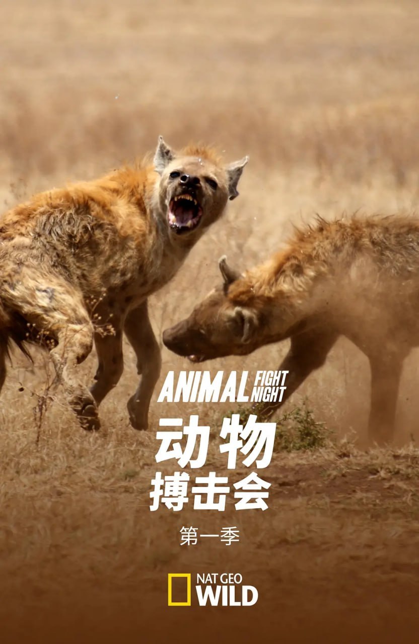 动物搏击会 第一季 Animal Fight Night Season 1 (2013)