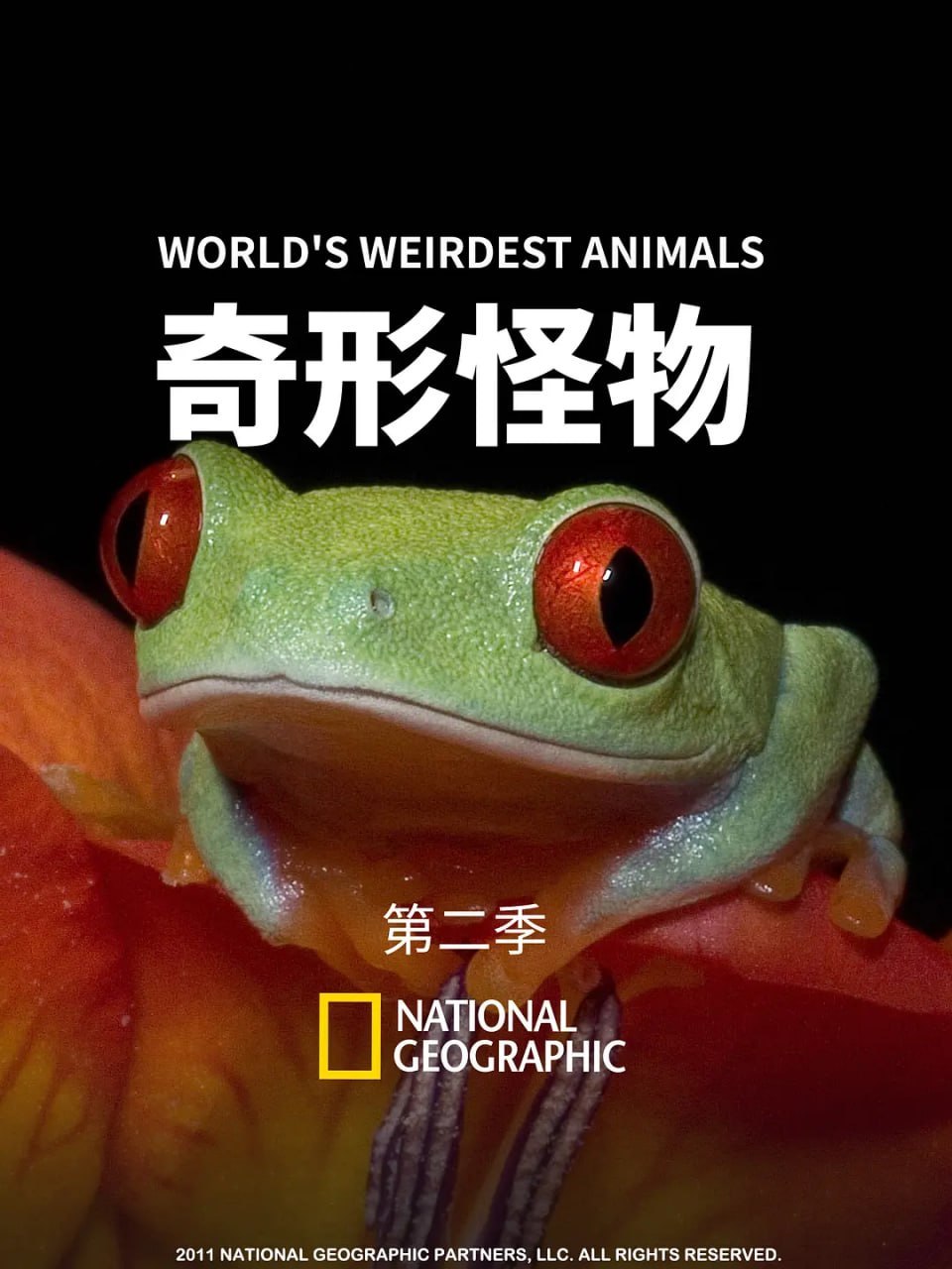 奇形怪物 第二季 World's Weirdest Season 2 (2012)