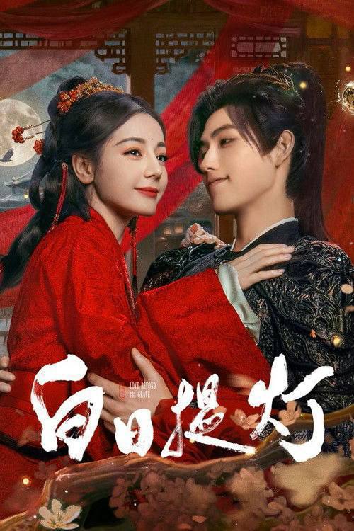 白日提灯（2026）4K 60FPS S01E01 - E08 HiveWeb