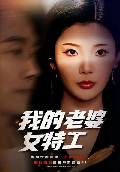 我的老婆女特工（62集）王星辰&王振|短剧