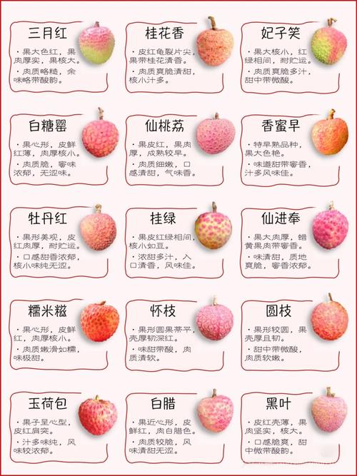 《从0-1做个赚钱的小红书博主》