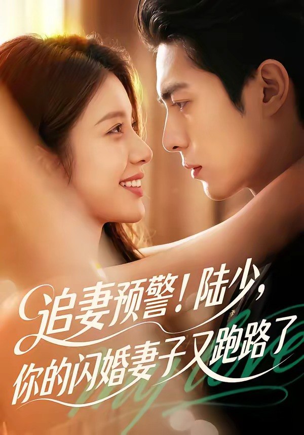 追妻预警陆少你的闪婚妻子又跑路了 (102集) | 短剧