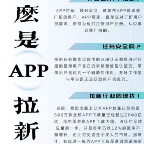 拉新暴利录屏玩法，一单12块，有手机