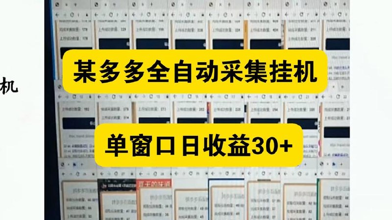 全自动挂机，单窗口日收益20+，单电