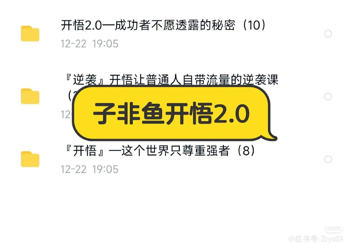 《开悟2.0》