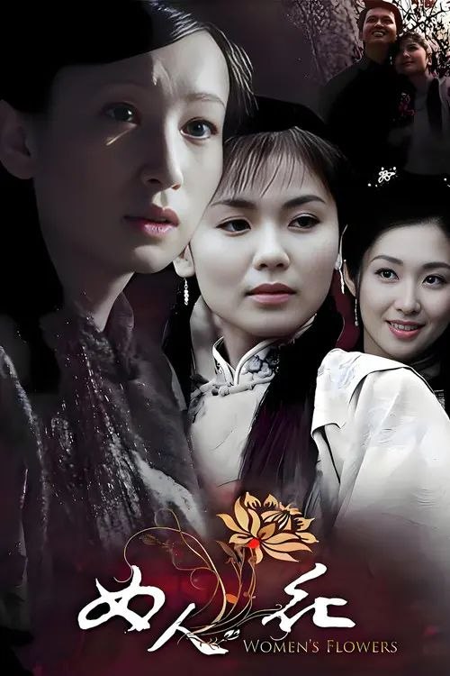 女人花 (2008) 4K 全集