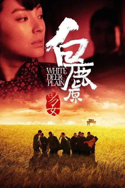 白鹿原 (2012) 4K 高码