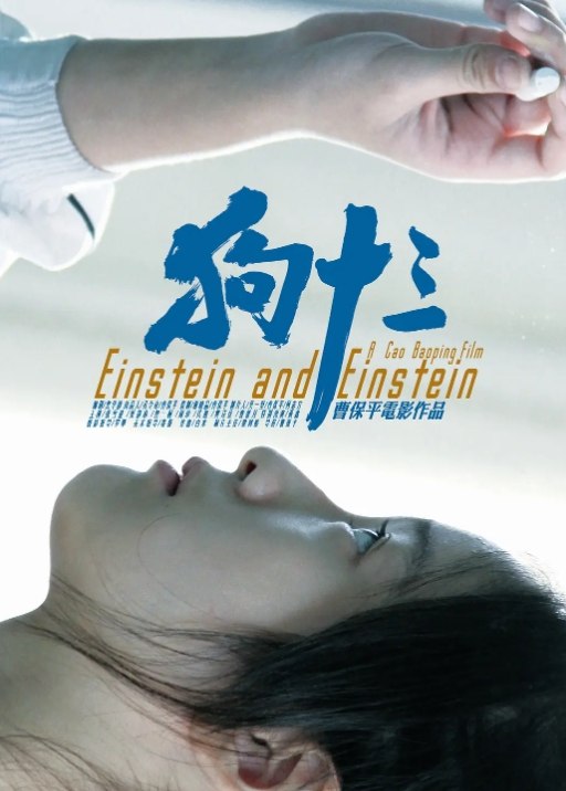 狗十三 (2013) 1080 超清 家庭/青春