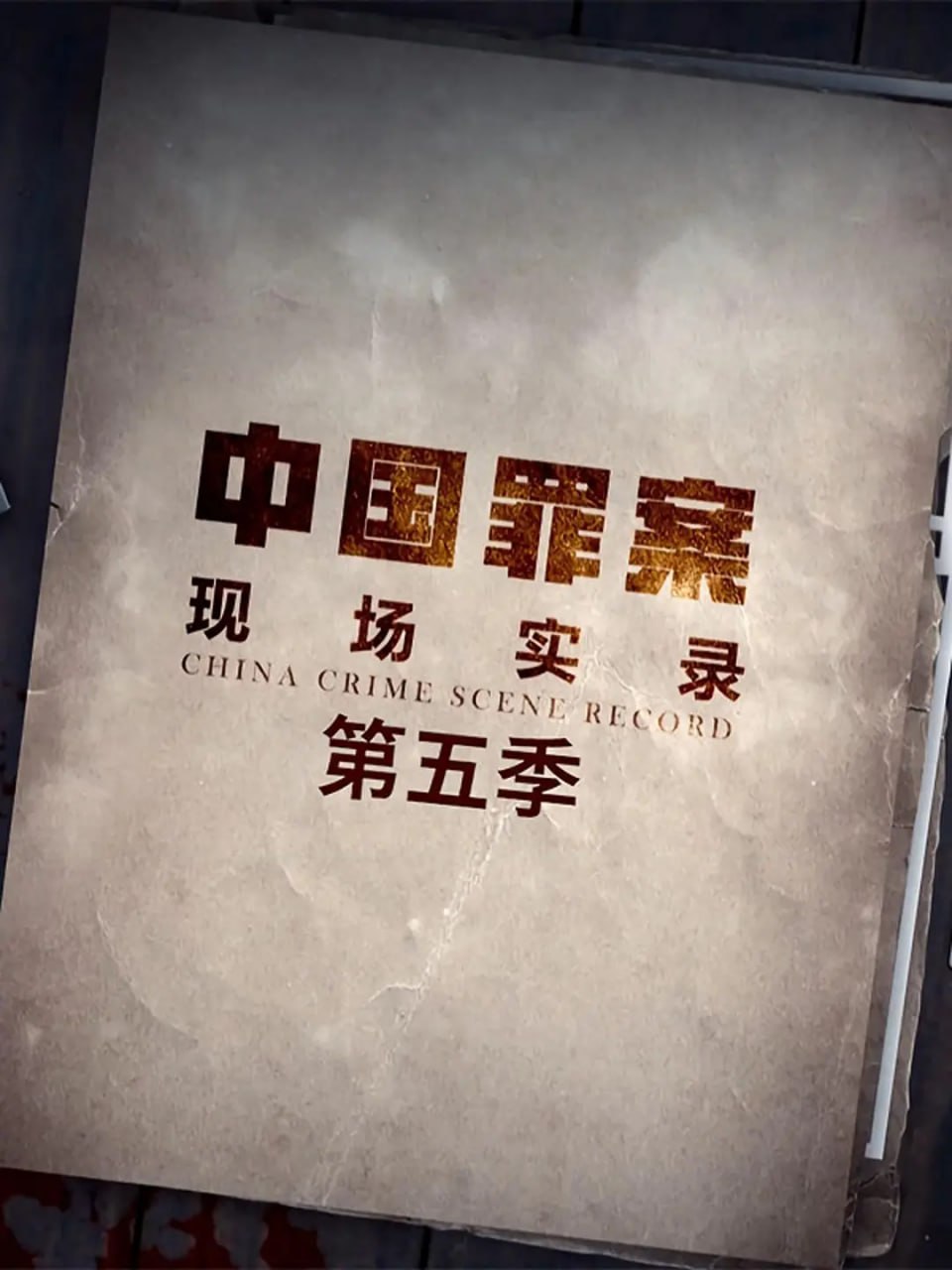 罪案现场实录 第五季 (2021)