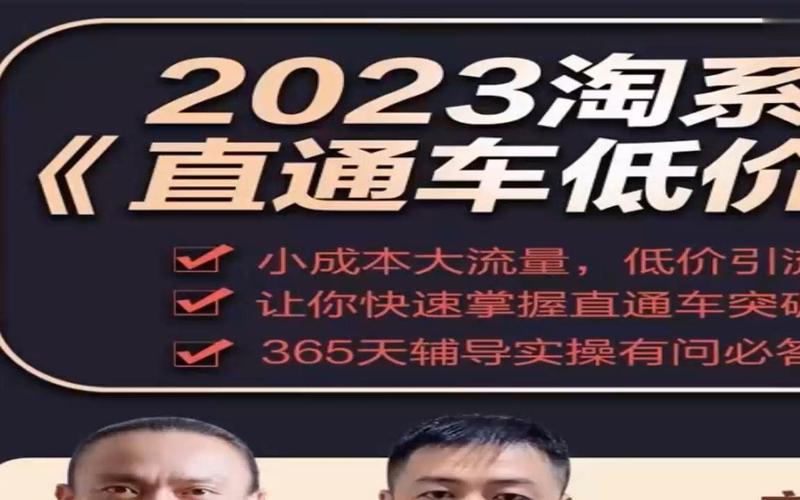 《2023直通车低价引流玩法》