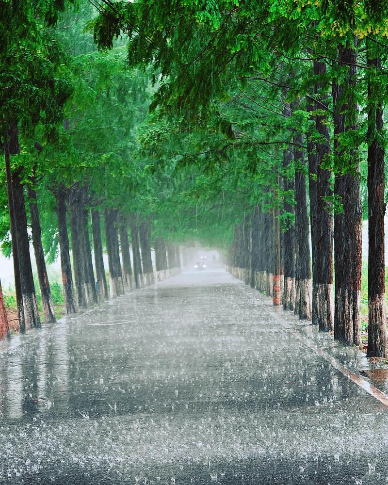 2024视频号最新赛道下雨风景视频