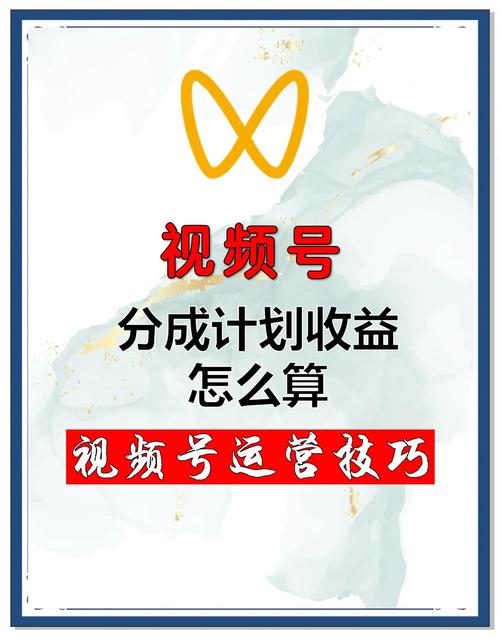 2024短视频平台点赞关注项目，轻松