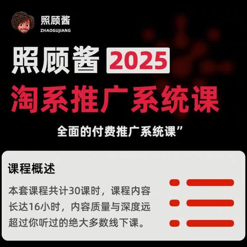 照顾酱2025淘系推广系统课