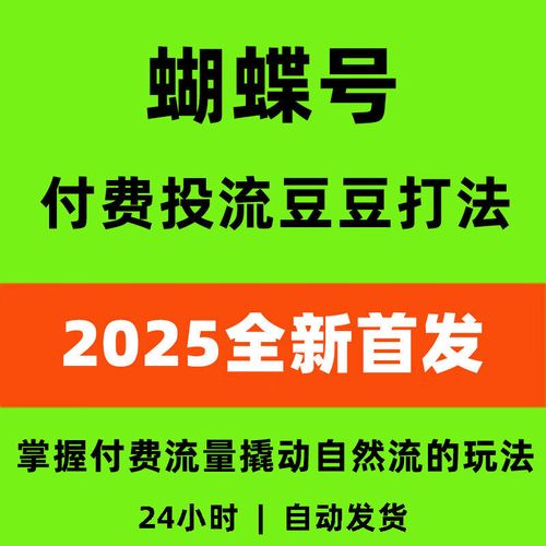 《2025蝴蝶号付费投流豆豆打法》