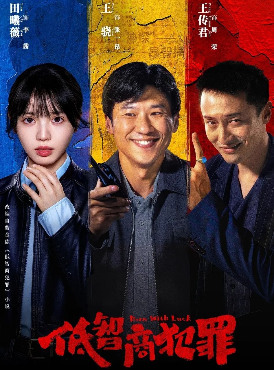 低智商犯罪 (2026) 更至11集 [4K][刑侦][王骁/田曦薇/王传君]