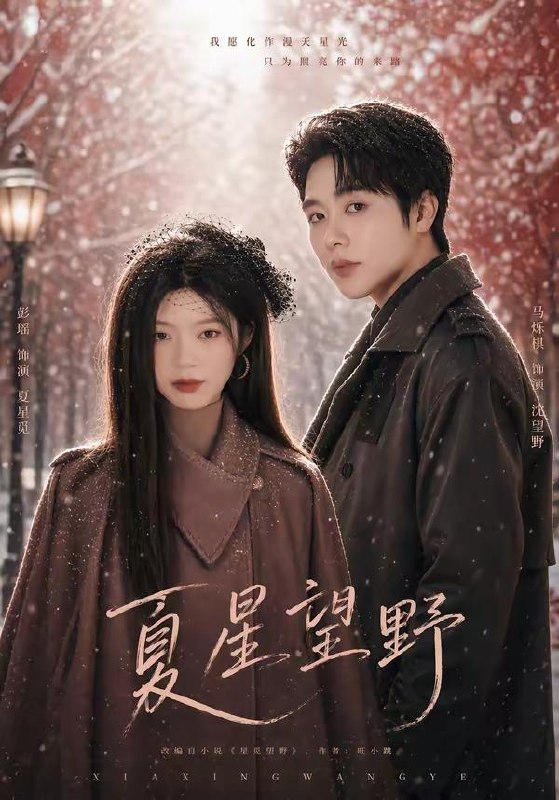 2026年5月8日 短剧更新目录5