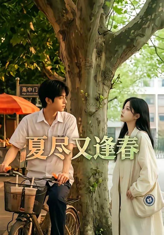夏尽又逢春 (26集) | 短剧