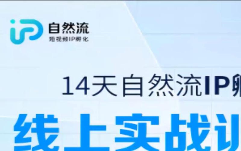 更新4节 自然流第六期-自然流IP孵