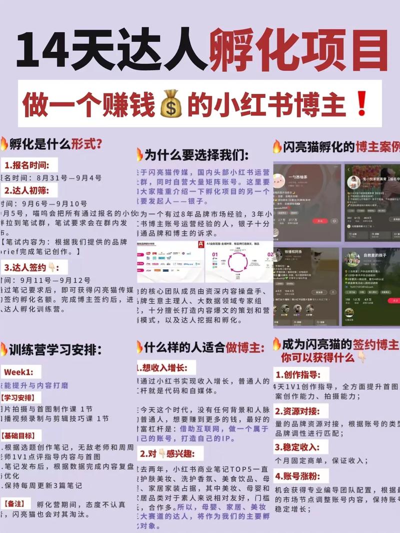 《自媒体美学提升营5.0》
