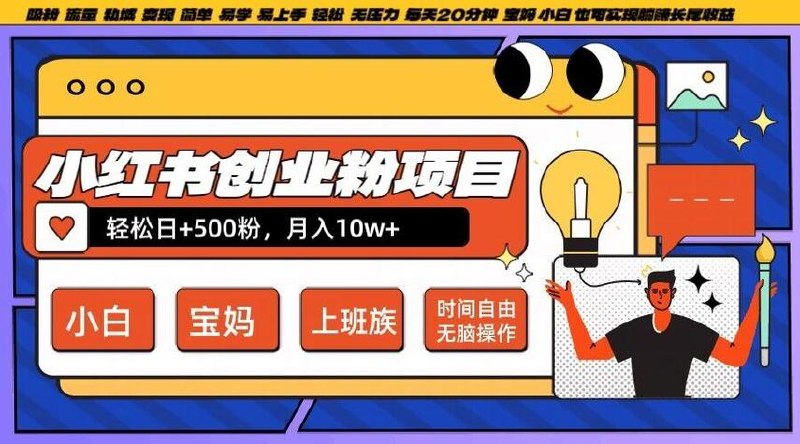 小红书创业粉项目日+500粉，每天2