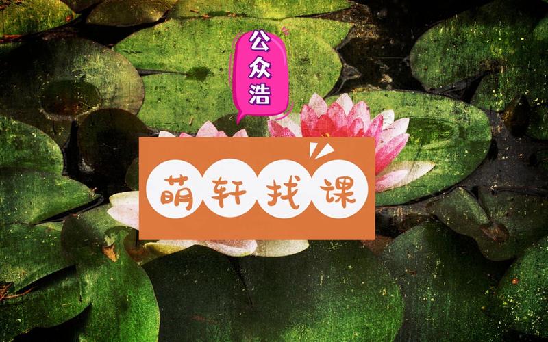 《小红书私教第6期》