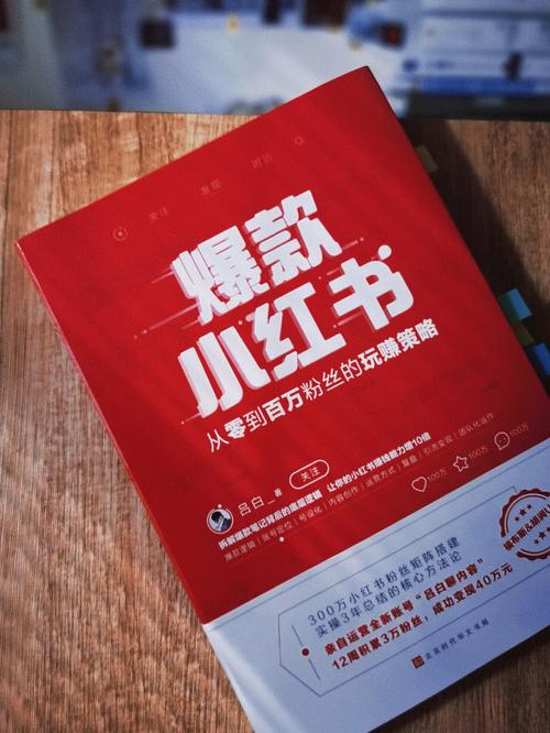 《小红书爆涨粉变现营第6期》