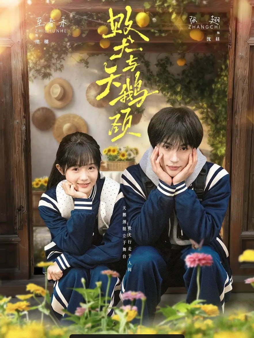 败犬与天鹅颈（71 集）至春禾 ＆ 张翅