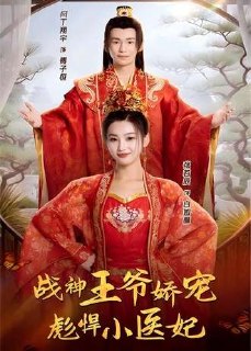 战神王爷娇宠彪悍小医妃(78集)【短剧】
