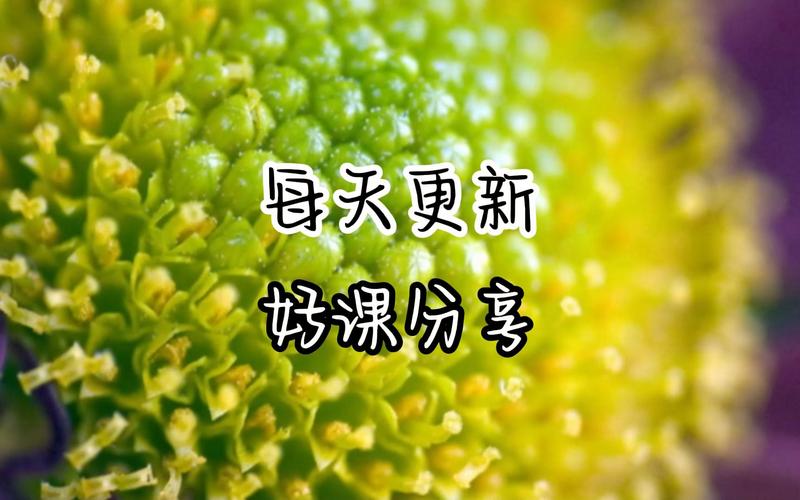 《小红书流量变现陪跑营第8期》