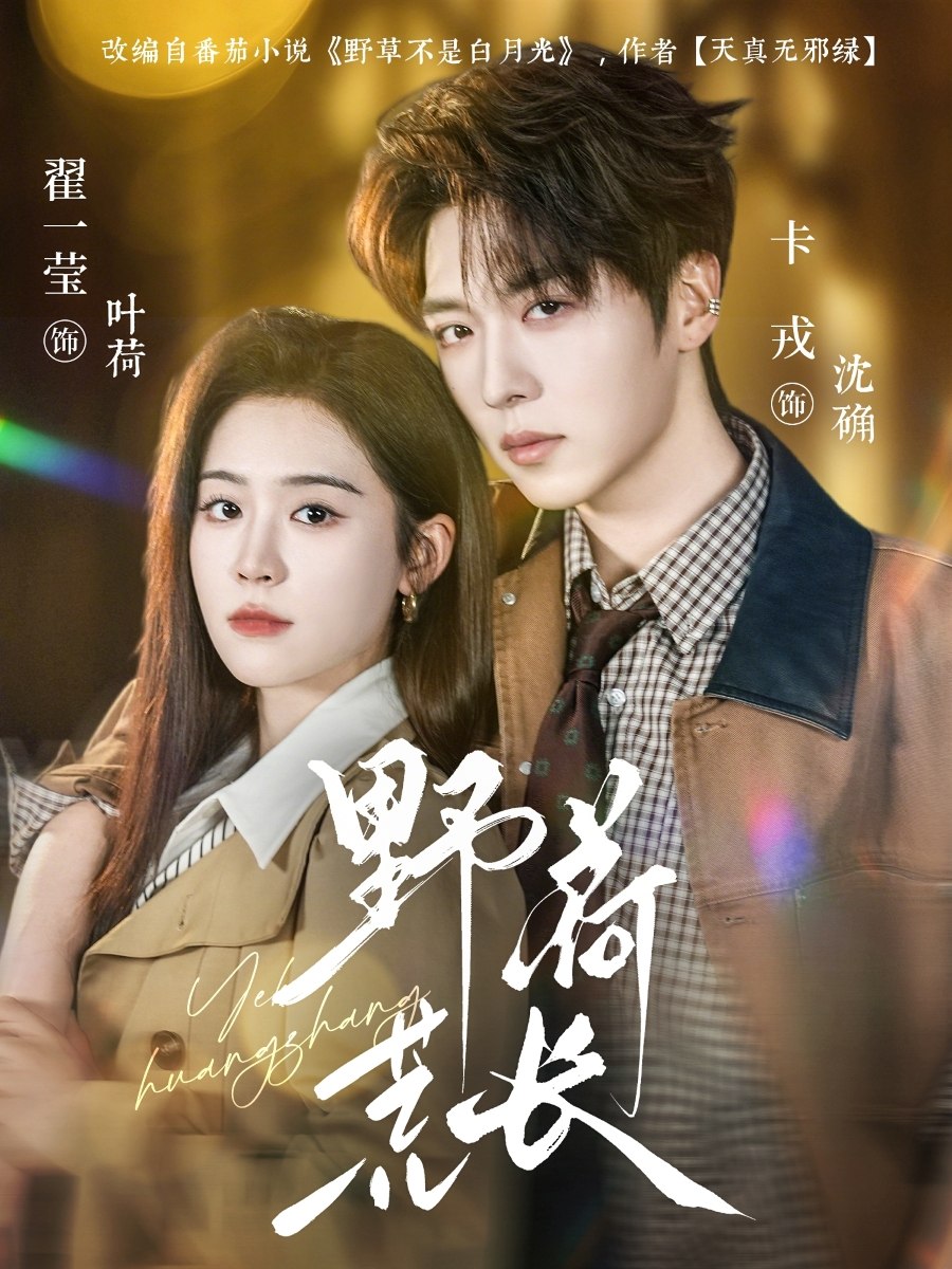 野荷荒长 (86集) 卡戎&翟一莹 | 短剧
