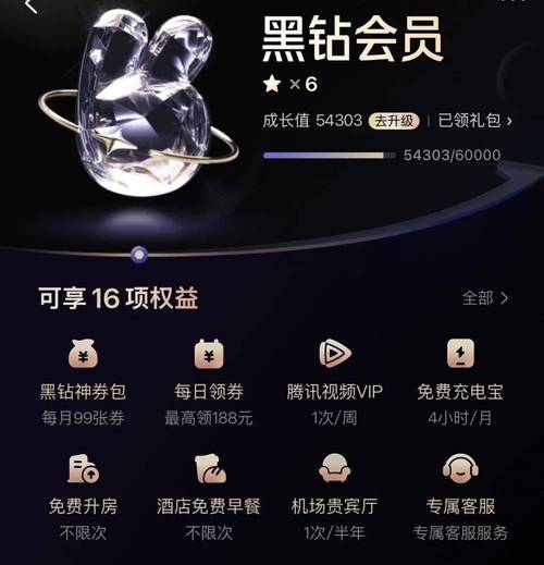 黑马-人工智能AI进阶年度钻石会员*