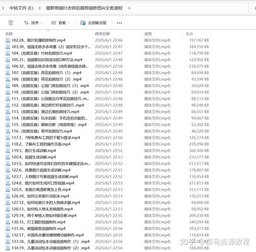 付老师拍摄剪辑修图AI工具全套课程*