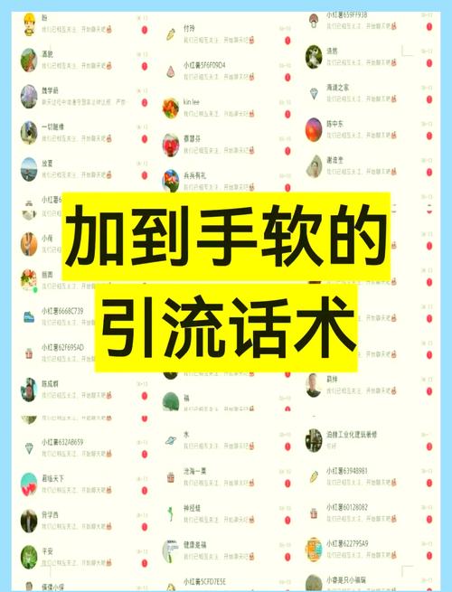 利用b站日引流50＋创业粉，保姆级教