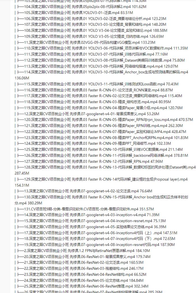 深度之眼-CV项目就业小班第九期