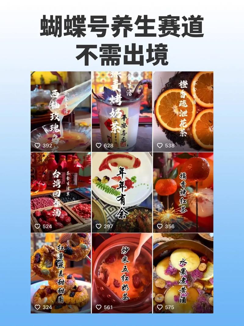 蝴蝶号大健康养生赛道，deepsee