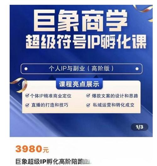 超级IP流量陪跑班