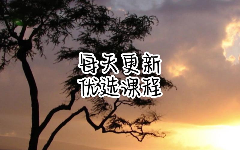 《第二期IP操盘手认证营》