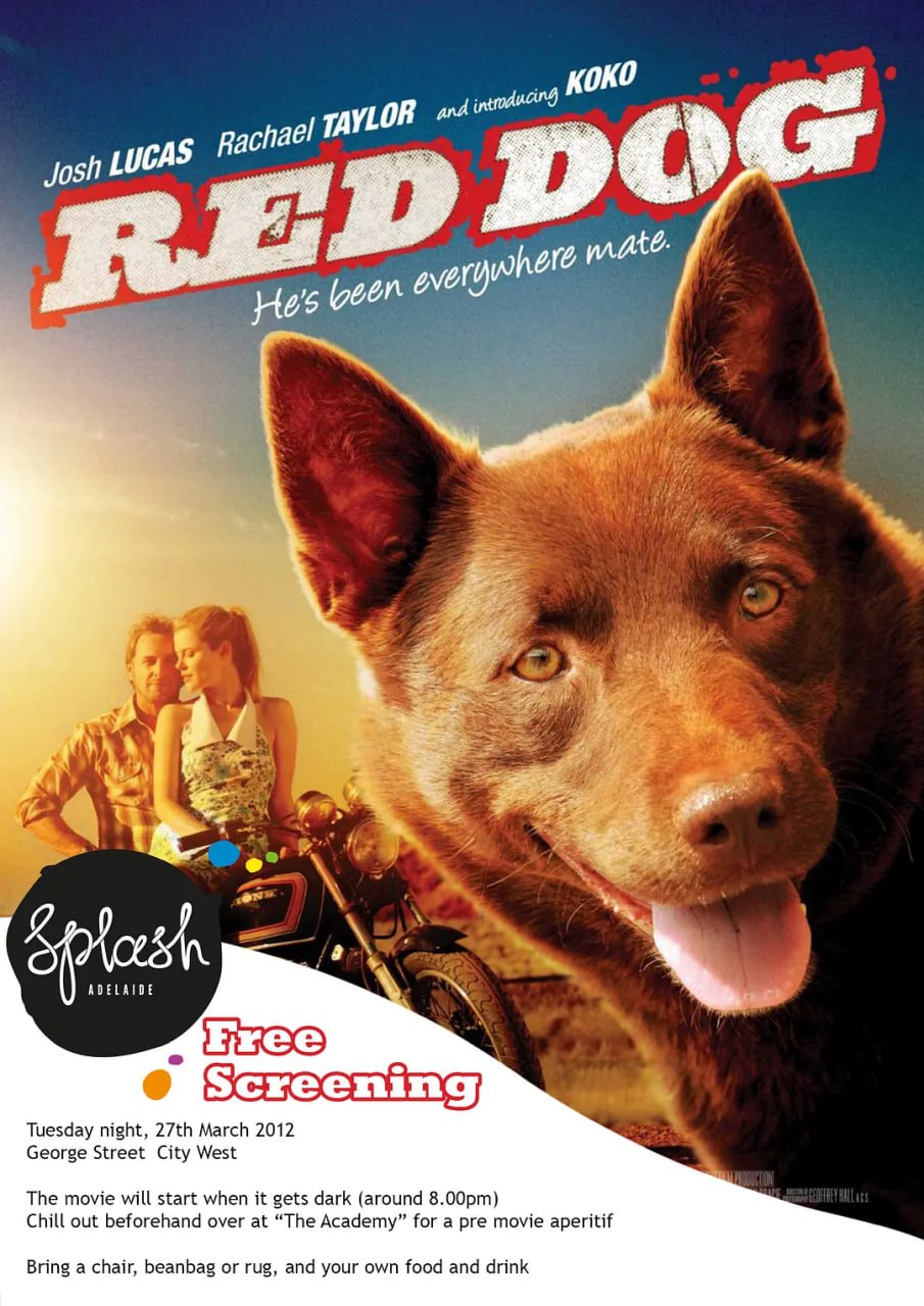 红犬历险记 Red Dog (2011)