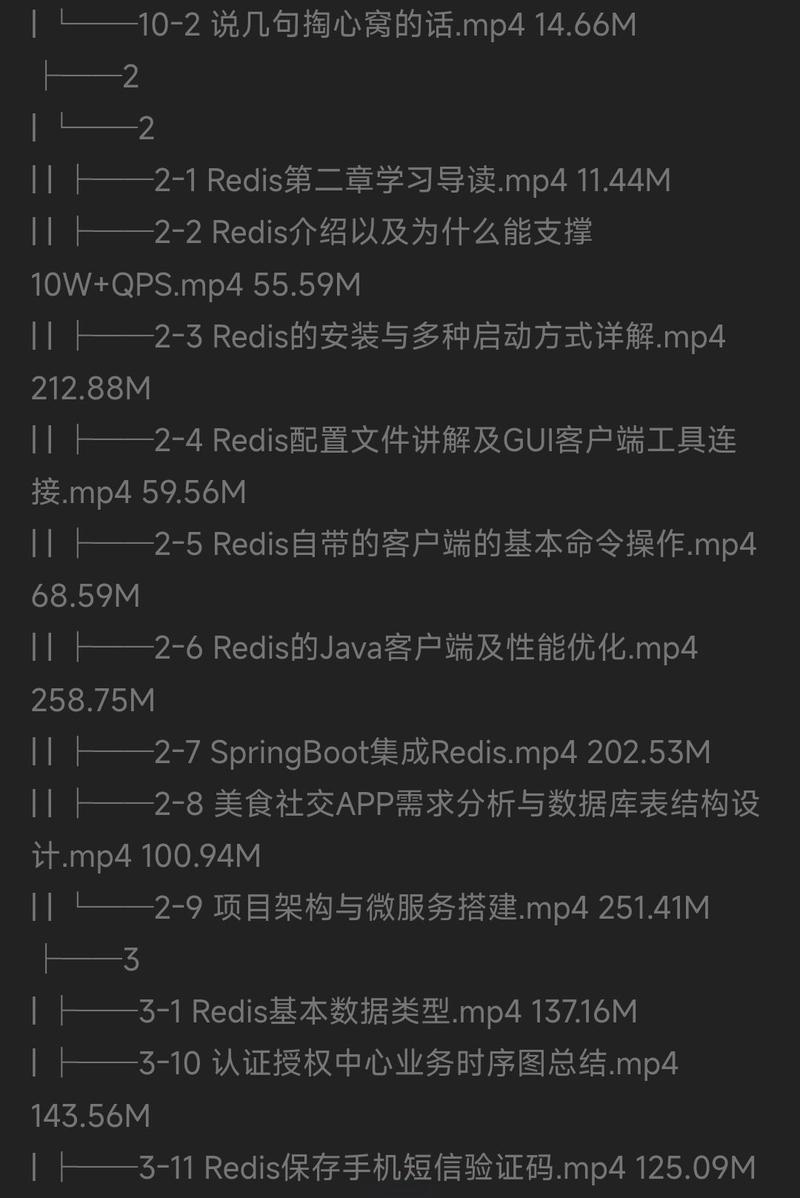 高级Redis进阶课 解决Redis