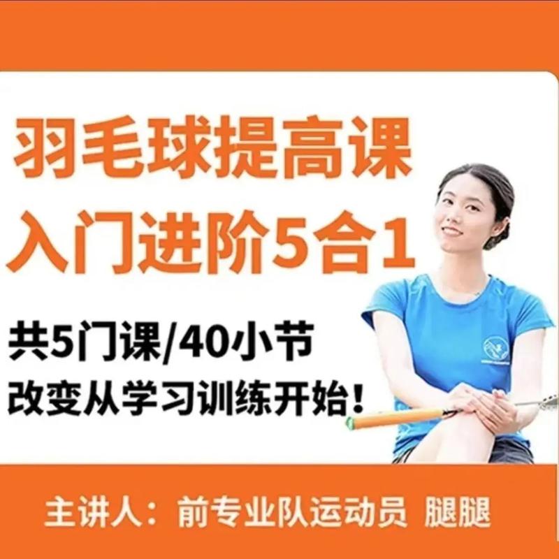 嘉嘉成人羽毛球基础进阶三合一精品课*